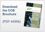 Download CCB brochure